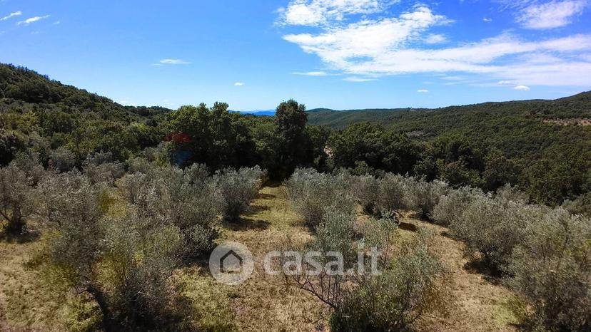 Villa in Strada delle Cerbaie — foto 33 di 63