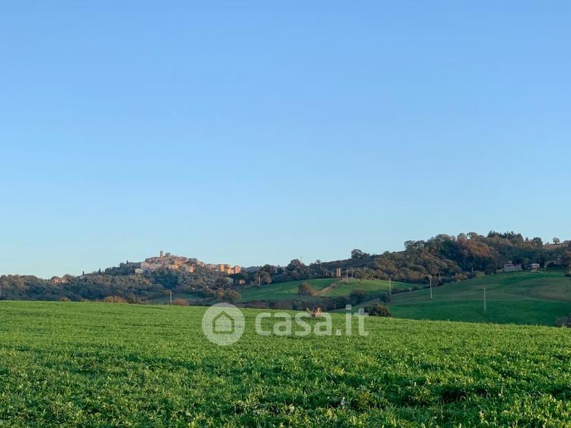 Villa in Montemerano — foto 4 di 50