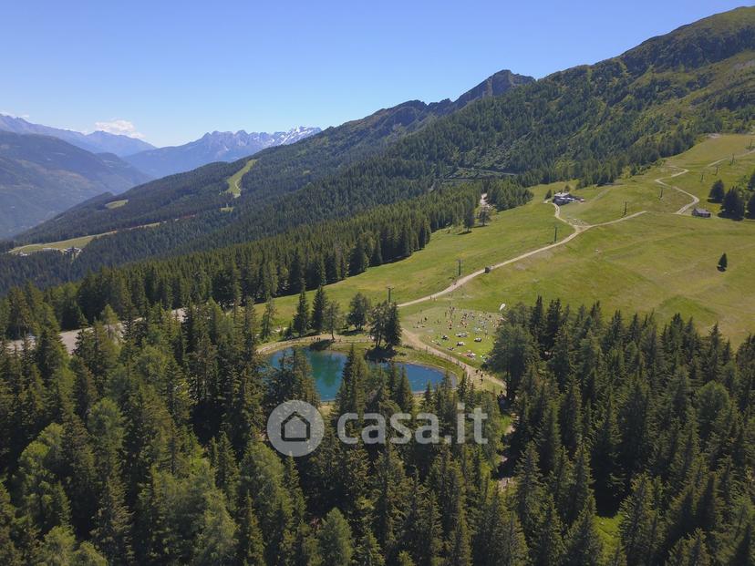 Trilocale in Via Stelvio 19 — foto 15 di 50