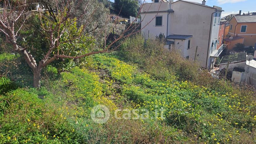 Trilocale in Località Setta — foto 12 di 30