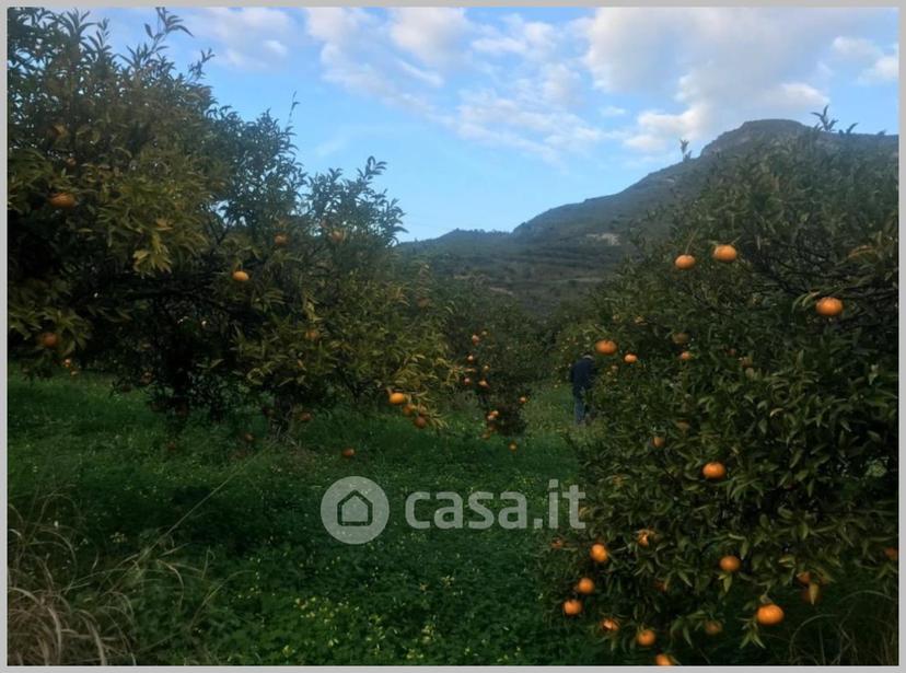 Appartamento in Corso Umberto I — foto 28 di 32