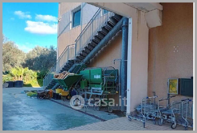 Villa in Contrada Moschetta — foto 11 di 33