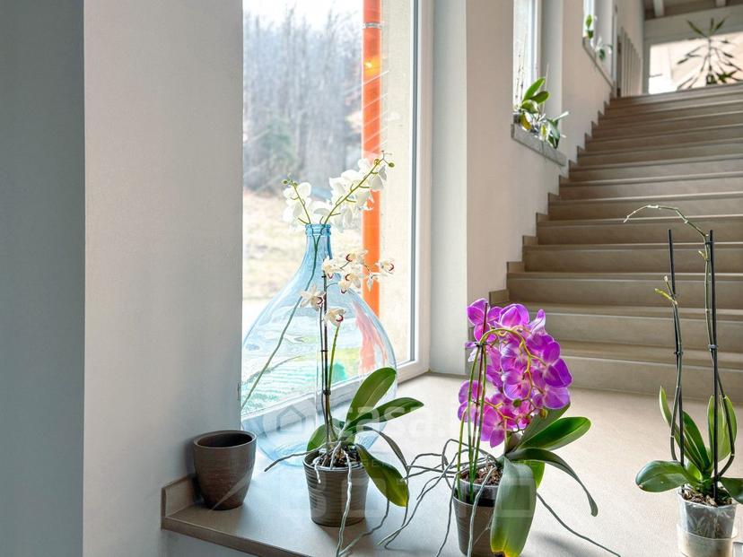 Villa in Via Ponte Bria — foto 25 di 49