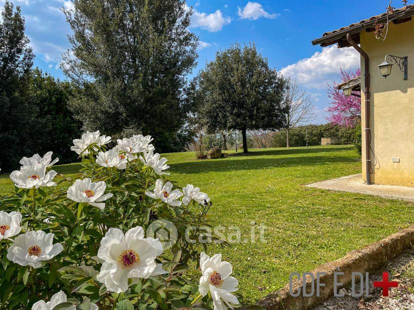 Villa in Via Santa Lucia — foto 35 di 70