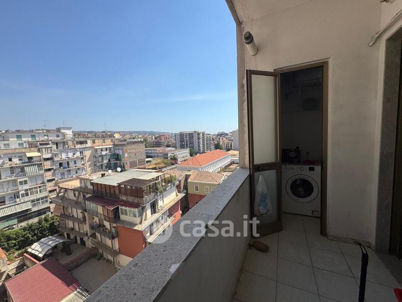 Trilocale in Via Cesare Vivante — foto 13 di 18