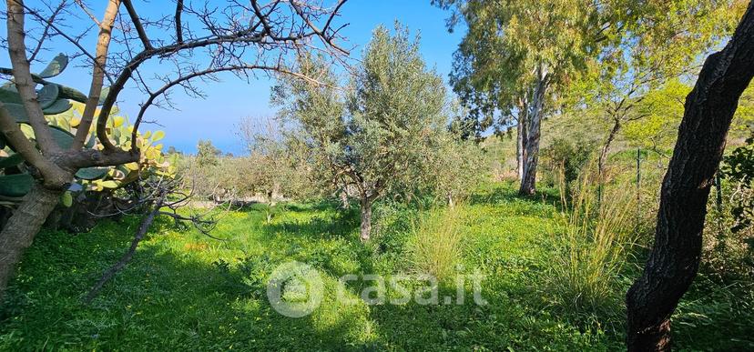 Villa in Contrada Sarmuci — foto 40 di 93