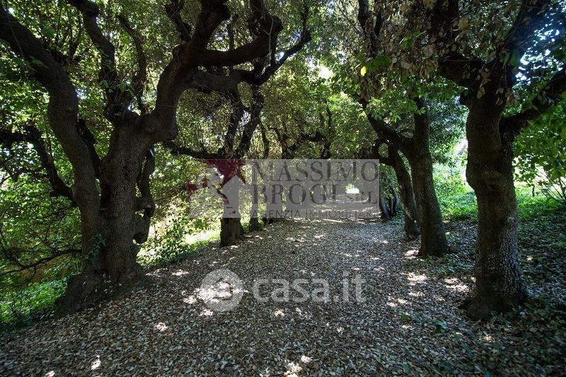 Villa in Strada di Scacciapensieri — foto 20 di 54