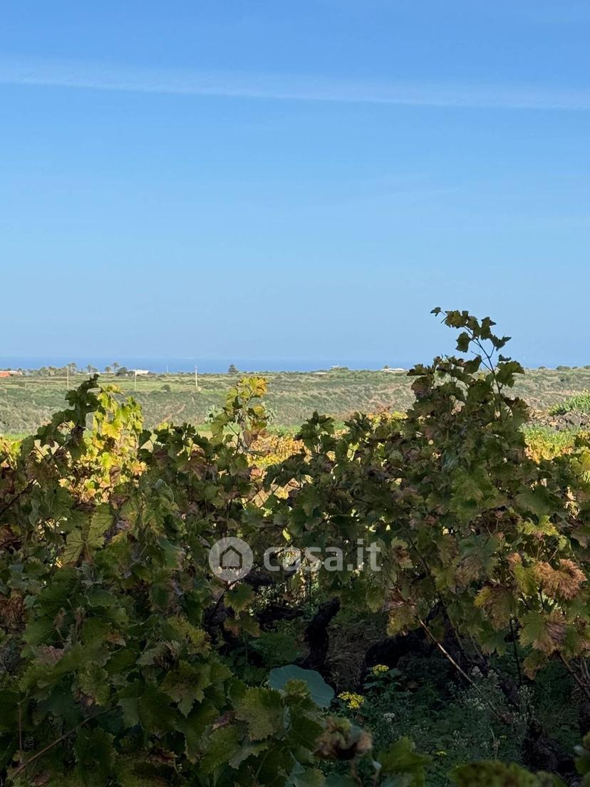 Villa in Via San Vito — foto 25 di 38