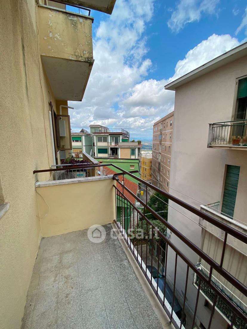 Bilocale in Via Antinori 4 — foto 29 di 42