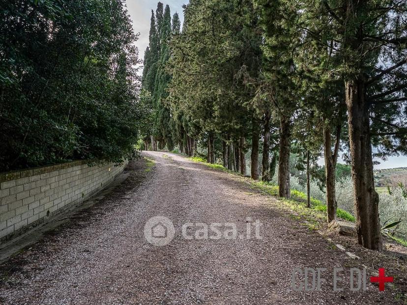 Villa in Strada Statale 439 Sarzanese Valdera 18 — foto 24 di 131
