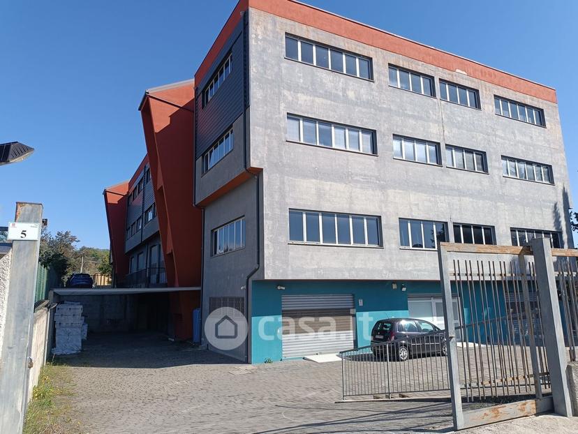 Quadrilocale in Via Polonia 5 — foto 5 di 12