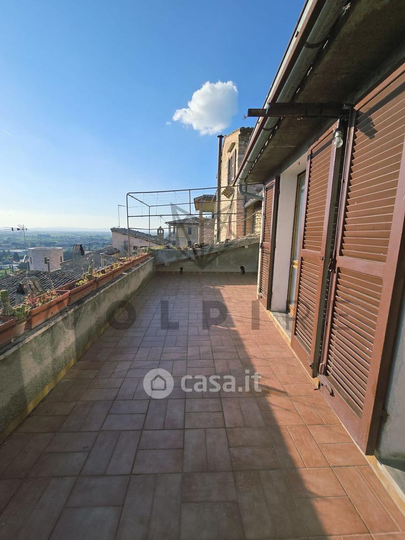 Bilocale in Via dell'Ospedale 48 — foto 18 di 18