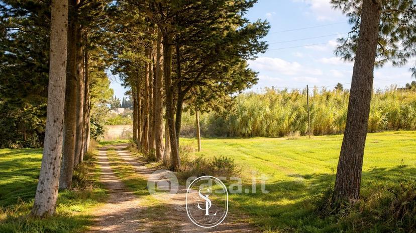 Villa in Via U. Giordano — foto 33 di 34