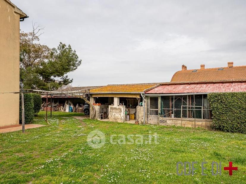 Villa in Località Perelli — foto 38 di 51