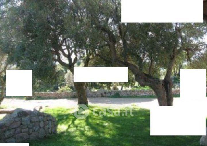 Villa in Via Macciunitta — foto 6 di 35