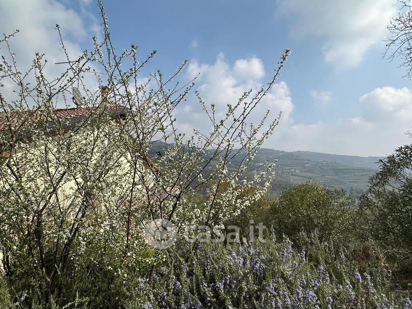 Villa in Via delle Fonti — foto 35 di 53