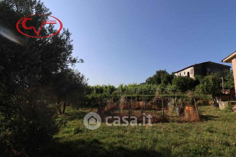 Villa in Via delle Muricce — foto 37 di 43