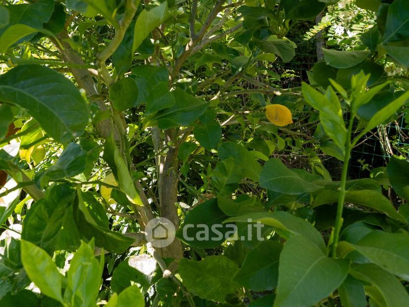 Trilocale in Monte Albereto — foto 4 di 38