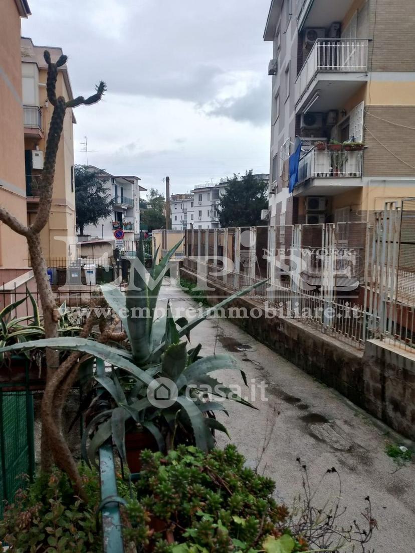 Quadrilocale in Traversa I Via Monte Nuovo 51 — foto 13 di 19
