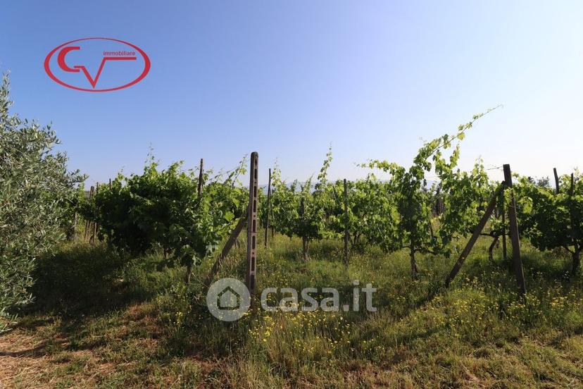 Villa in Via delle Muricce — foto 20 di 43