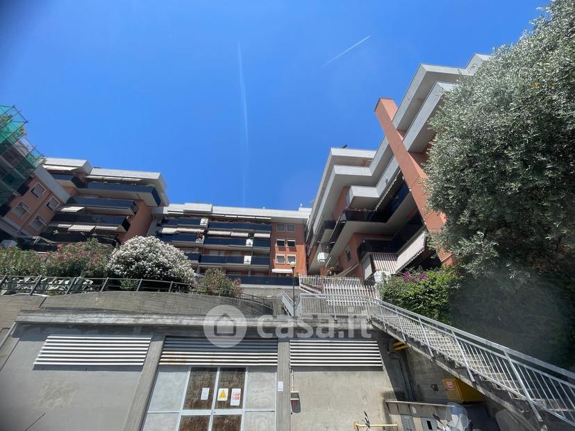 Bilocale in Via Emilio Salgari 105 — foto 8 di 24
