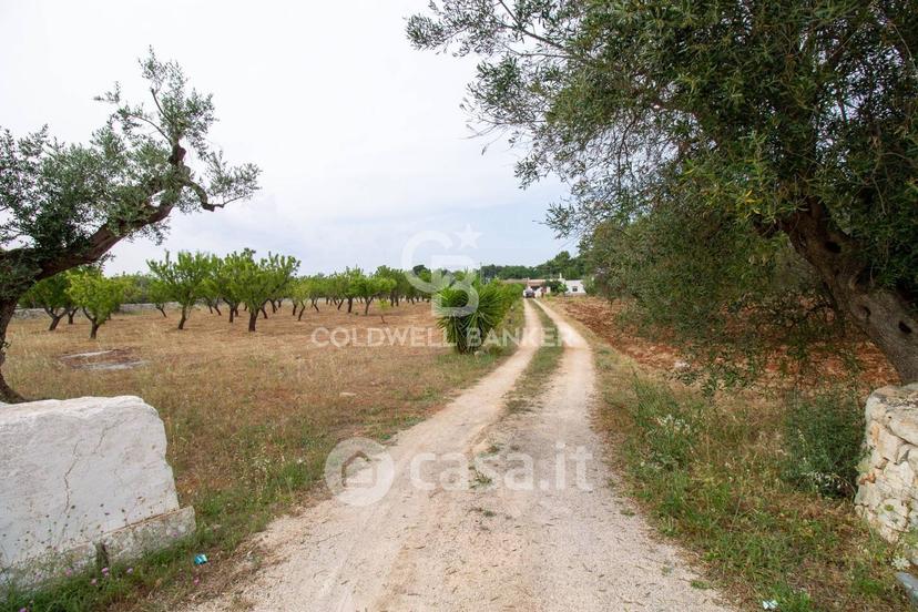 Villa in Strada Statale 16 Adriatica — foto 15 di 50
