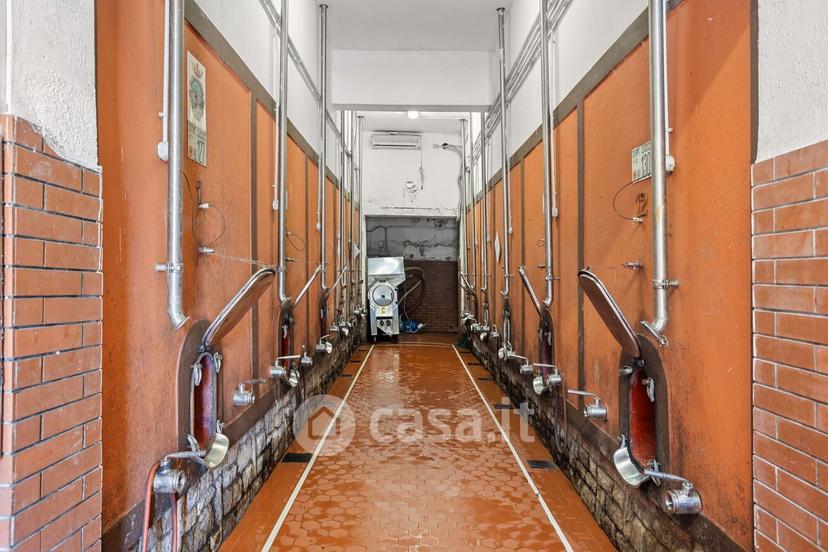 Villa in Piazza del Comune 17 — foto 59 di 74