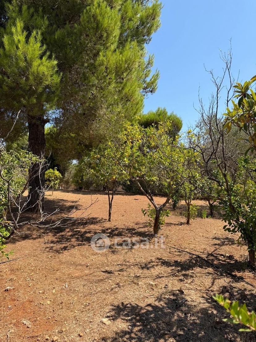 Villa in Contrada Sierri — foto 49 di 72