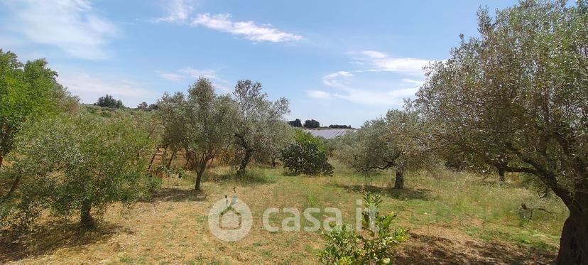 Villa in Contrada Fegotto — foto 6 di 19