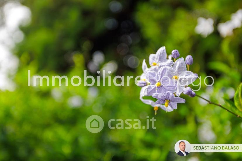 Villa in Strada di Santa Bona Vecchia 79 — foto 2 di 22