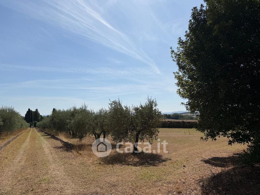 Villa in Strada Provinciale di Monteaperti — foto 42 di 54