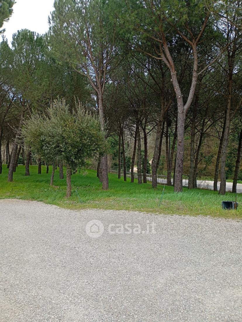 Appartamento in Via Maremmana — foto 23 di 24