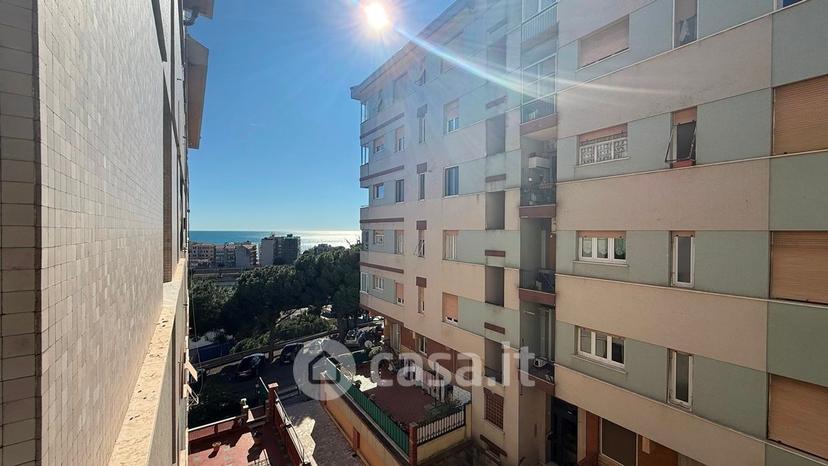 Trilocale in Via Chiappino — foto 8 di 19