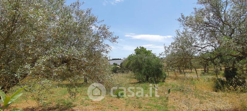 Villa in Contrada Fegotto — foto 19 di 19