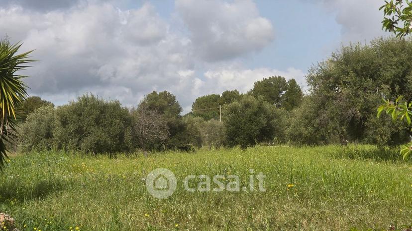 Villa in Cavasecca — foto 19 di 25