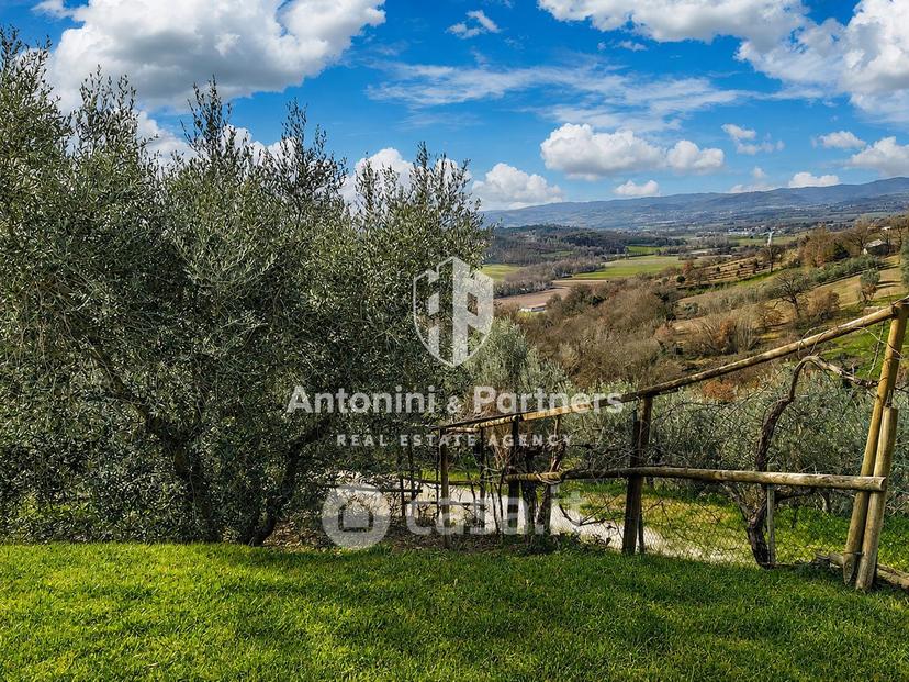 Villa in Località Casalalta — foto 4 di 42