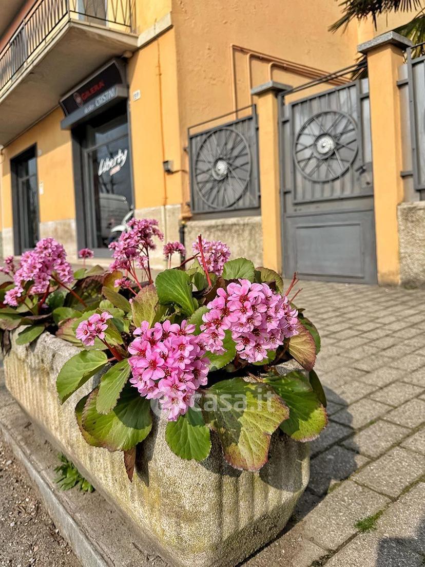 Monolocale in Via Milano 1 — foto 6 di 34