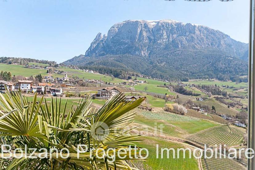 Appartamento in Via Weingartner — foto 11 di 37