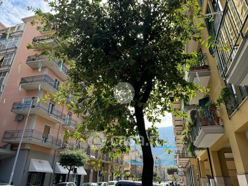 Bilocale in Corso Alcide de Gasperi 121 — foto 11 di 19
