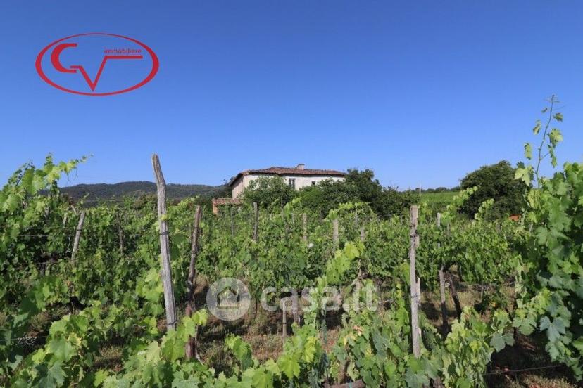 Villa in Via delle Muricce — foto 10 di 43