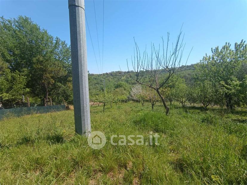 Villa in Via Torre Alfieri — foto 16 di 29