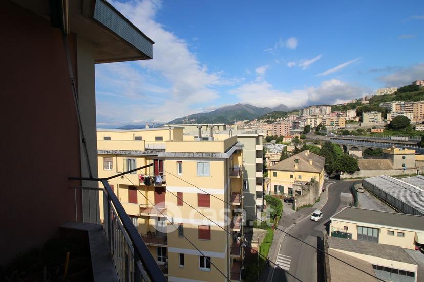 Quadrilocale in Via Taggia 11 — foto 15 di 45