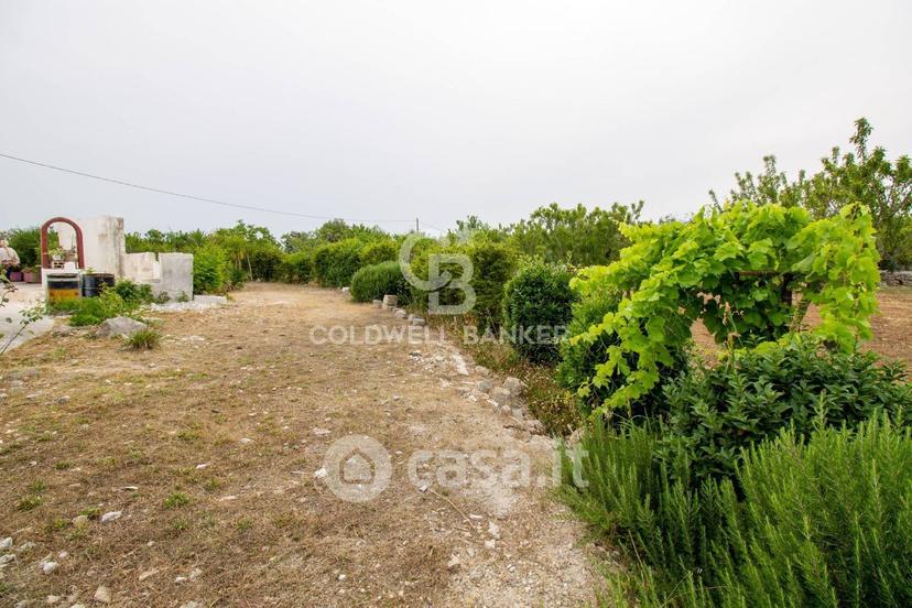 Villa in Strada Statale 16 Adriatica — foto 8 di 50