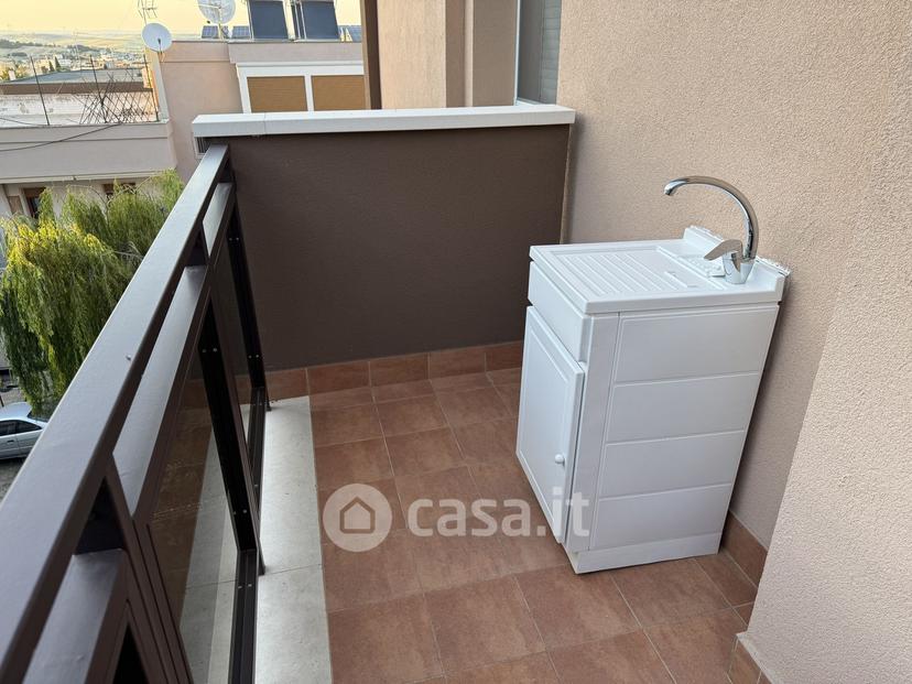 Trilocale in Via Carlo Collodi 18 — foto 13 di 16