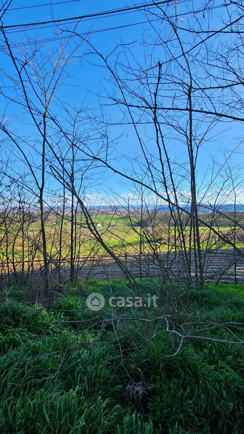 Trilocale in Località Viatosto 39 — foto 3 di 14