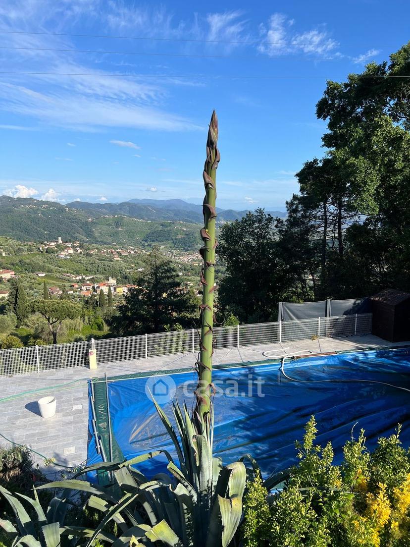 Villa in Via dello Zilloro — foto 19 di 24