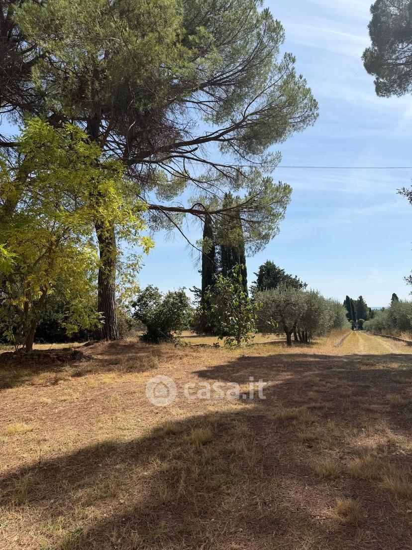 Villa in Strada Provinciale di Monteaperti — foto 44 di 54