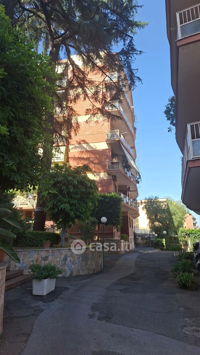 Stanza in Viale Andrea Doria 21 — foto 2 di 13
