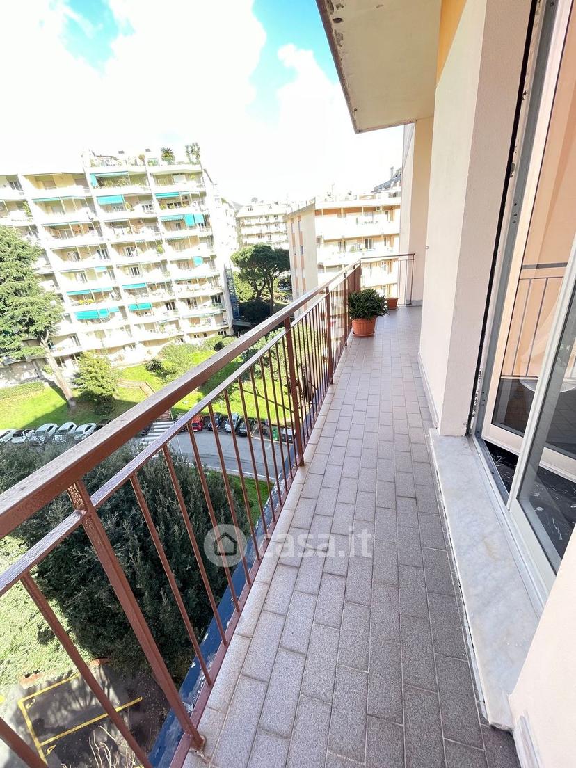 Trilocale in Via Emilio Salgari 6 — foto 21 di 31