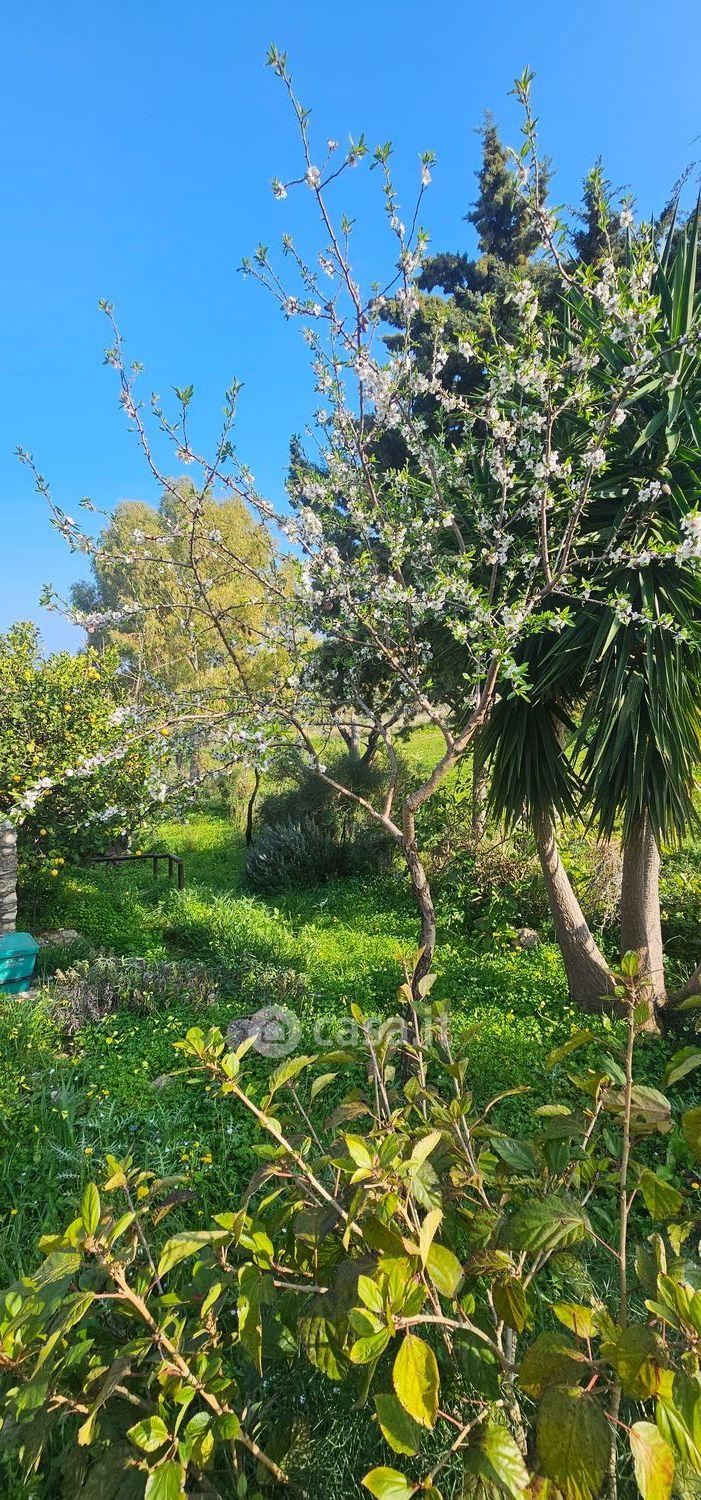 Villa in Contrada Sarmuci — foto 11 di 93